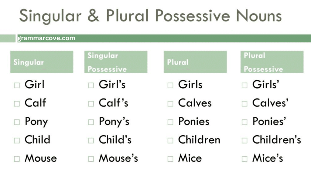 Singular Possessive: Class’s