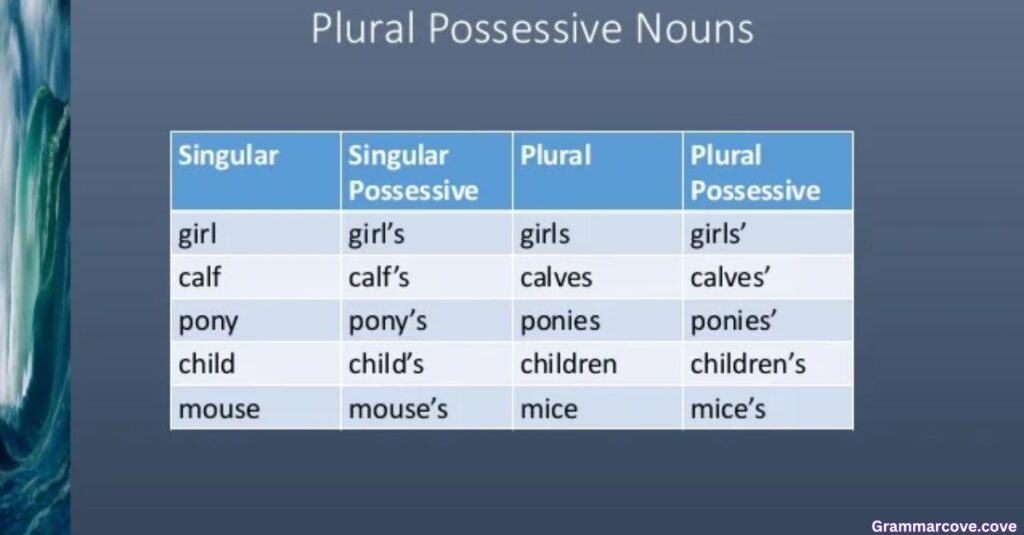 Singular vs. Plural Possessive