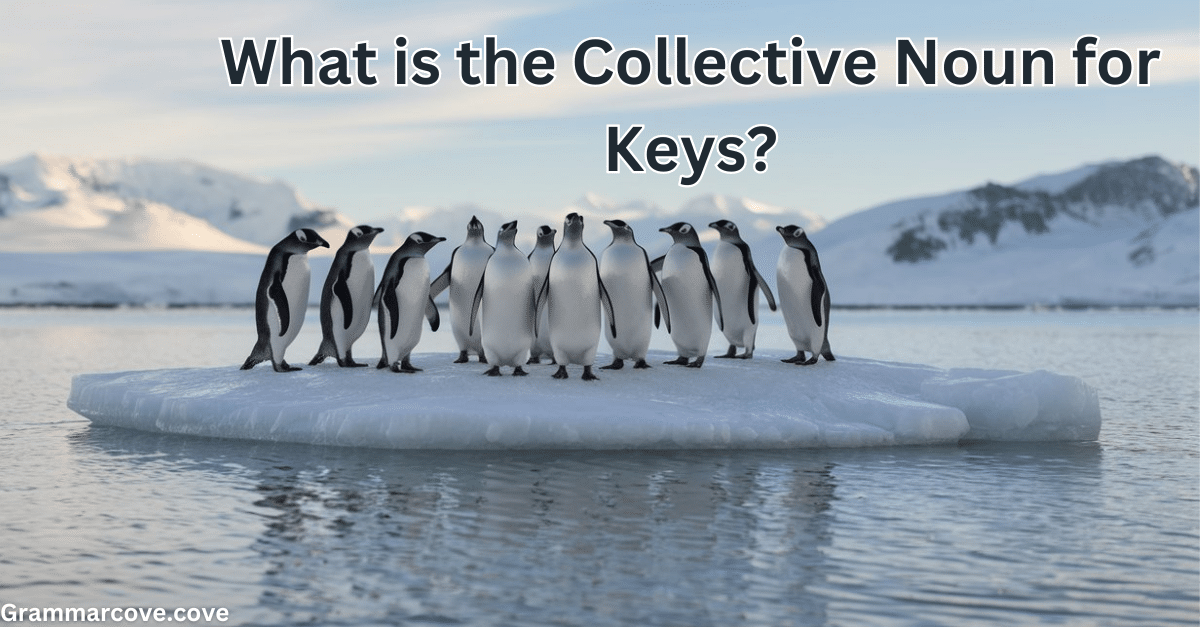 What is the Collective Noun for Keys