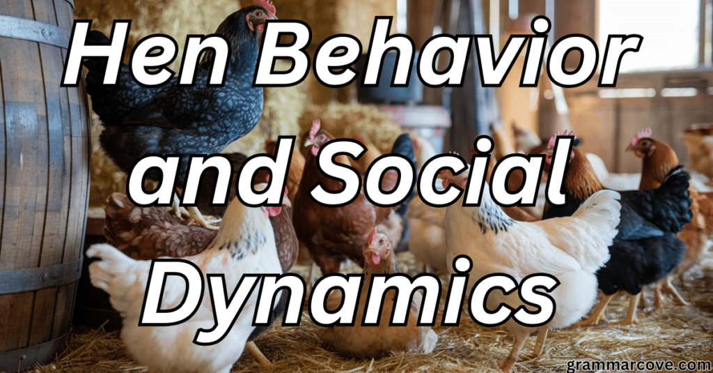 Hen Behavior and Social Dynamics