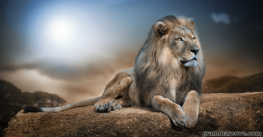 The Cultural Impact of Lions