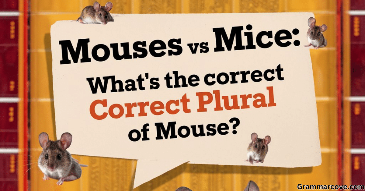 Mouses vs Mice What's the Correct Plural of Mouse