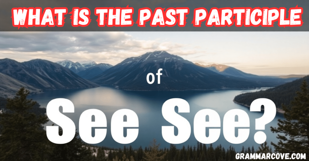 What is the Past Participle of See?