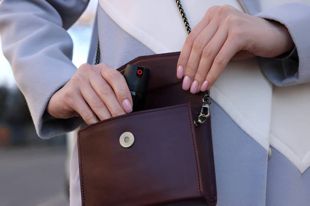 crossbody bag for women